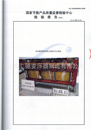 突發(fā)短路承受能力試驗報告